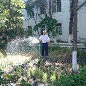 Али Малачевич поливает сад отделения.